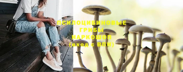 трава Володарск