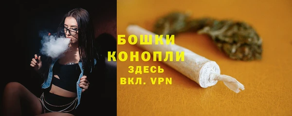 шишки Волоколамск