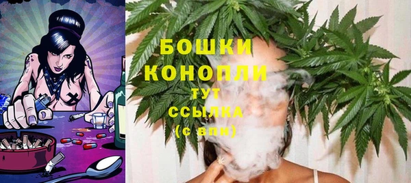 шишки Волоколамск