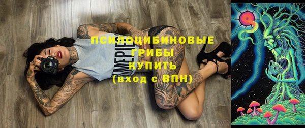 шишки Волоколамск