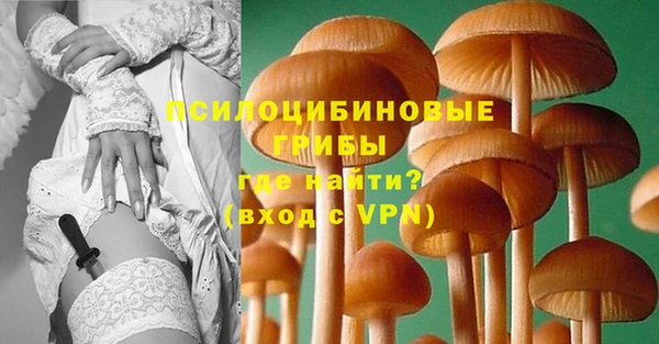 шишки Волоколамск