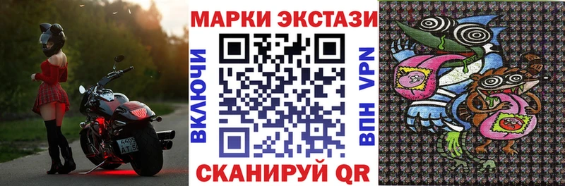 где можно купить   omg рабочий сайт  Наркотические марки 1,5мг  Каменногорск 