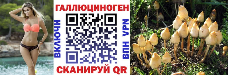 Галлюциногенные грибы ЛСД  Каменногорск 